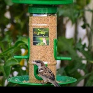 Bird Food Feeder Stand