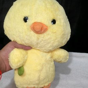 Cute Duck