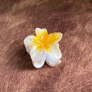 Flower Hair Clutcher Pack Of 3