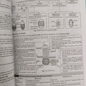 Mtg Neet Champion Biology Class 11&12