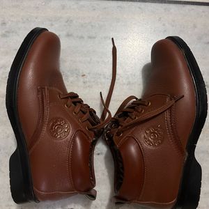 Men Trendy Brown Color Top Rise Shoe