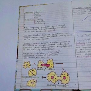 Biology & Physics Notes For Class 12th CBSE