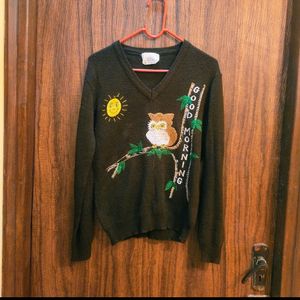 Owl 🦉theam Sweater