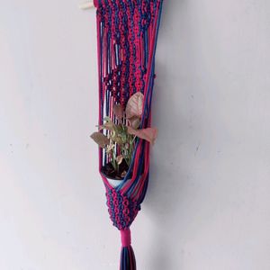 Macrame Plant Hanging