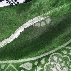 Dupatta - Green