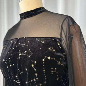 Korean Starry Velvet Dress