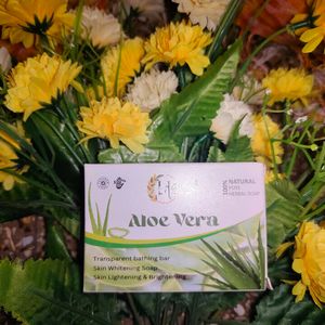 Adivasi Hair Shampoo With Free Aloevera Soap