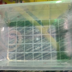 Storage Plastic Container