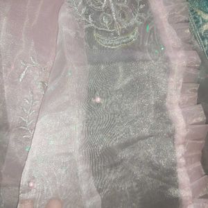 New Organza Pakistani Suit