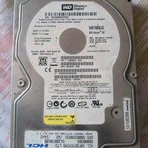 Western Digital Harddisk