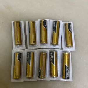 NIPPO 2AA GOLD BATTERIES