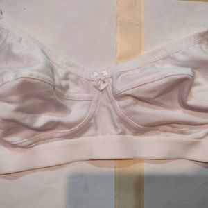 Brand New Saloni Women's Bra 34C✨