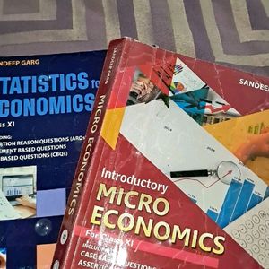 Class 11 Micro And Statistics Book
