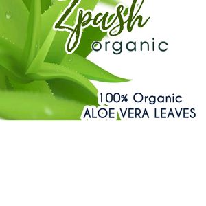 Aloe Vera Leaf 100& Natural Plant