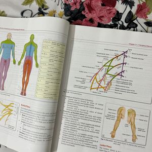 Anatomy Textbook For Bsc Nursing