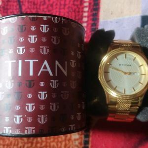 Titan Analog Watch Gold Case