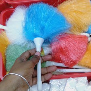 Feather Duster