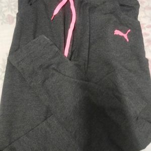 Brand New Gym Wear Pant