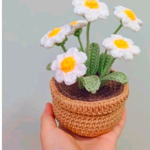 Crochet Flower Pot( 6 Flowe)