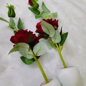 Rose Pots Pack Of 2