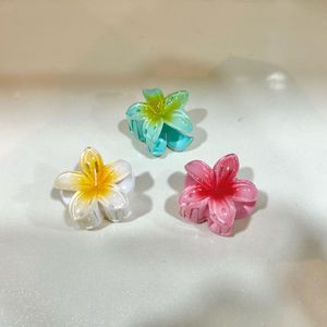 Flower Hair Clutcher Pack Of 3