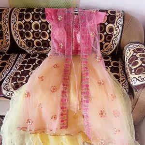 Very Beautiful Lehenga Choli