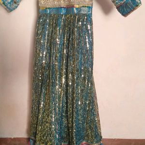 Moonlight Beautiful Banarasi Gown