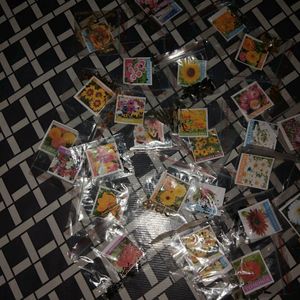 40Varieties Of Flower Seeds