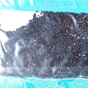 Lal Chaak veritable Seeds( 3000 Seeds Per Packet)