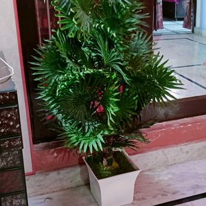 Artificial Tree Without Pot