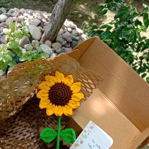 Crochet Sunflower Pot🌻