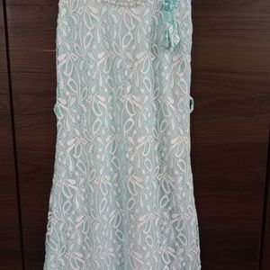 Embroided Chikankari Net Dress