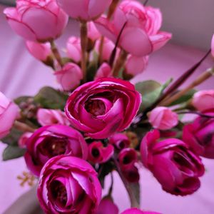 Pink Roses Bunches 2