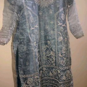 New Organza Kurta Set