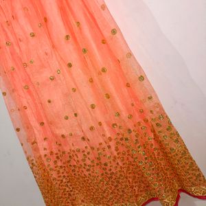 Lehenga Choli - Coral And Beige Colour