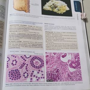 Textbook Of Pathology By Harsh Mohan (7th Edition)