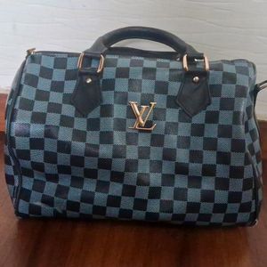 Louis Vuitton(master Copy) Bag