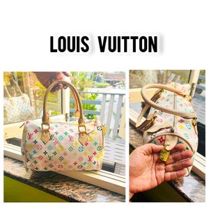 Louis Vuitton Rainbow Speedy bag