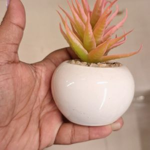 2pc Artificial Mini Desktop Plant