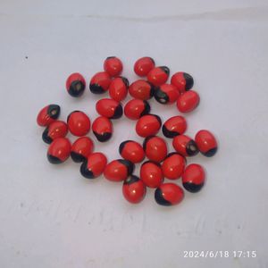 Red Gunja Seeds Use From Home Utility