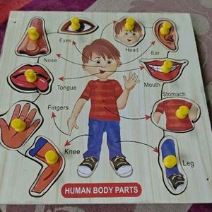 Human Body Parts