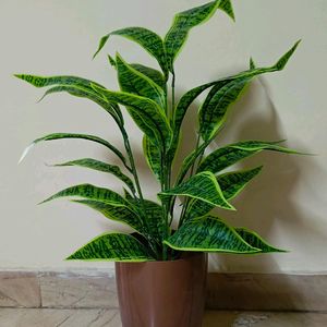 Artificial Plant With Pot (Free Delivery❗❗)