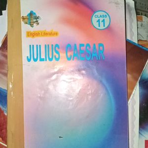 English Theory Book {JULIUS CAESAR}