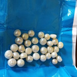 Real pearl 200 Rs For One Piece