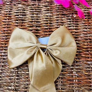 Satink Silk Bow Clip