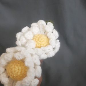 Crochet Large Daisy Flowers