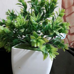Artificial Plant Green Look Like Fresh