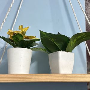 Wooden Macrame Hanging Shelf With Ikea Plants