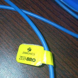 Zebronics Zeb BRO Earphones Wired(blue Color)