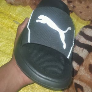 Man Slippers ( PUMA )